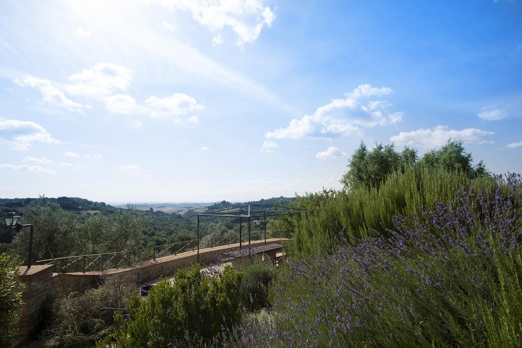 Casa Sandro A Podere Pascianella Villa Castelmuzio Rum bild