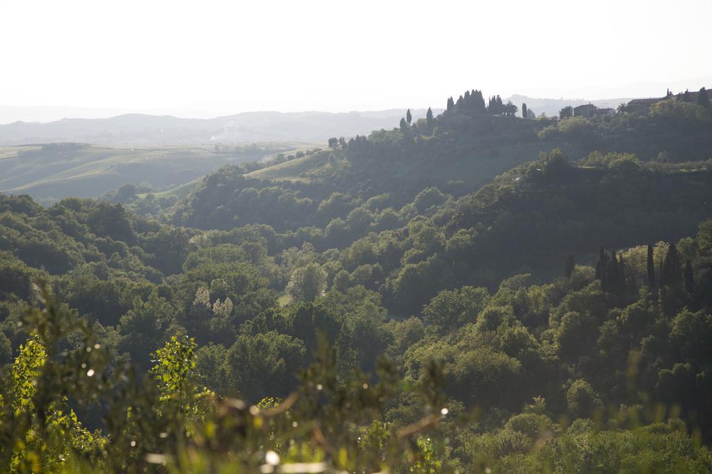 Casa Sandro A Podere Pascianella Villa Castelmuzio Exteriör bild